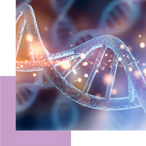 eleghos-oxidotikou-stress dna έλεγχος οξειδωτικού στρες iolife